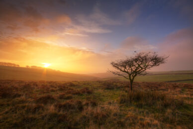 An Exmoor View at Sunset