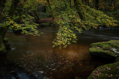 An Autumnal River Swirl