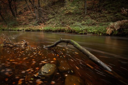 The flow of Autumn on the River Teign