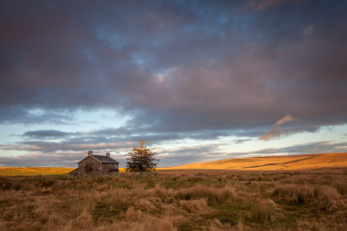 The last golden light beyond Nuns Cross Farm, Dartmoor by David Anderson