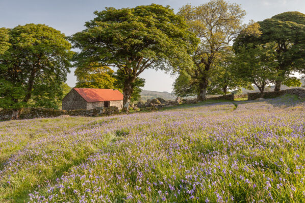 Dartmoor photography