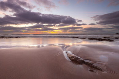 Pristine Sand Beach, Welcombe Mouth, Devon by David Anderson