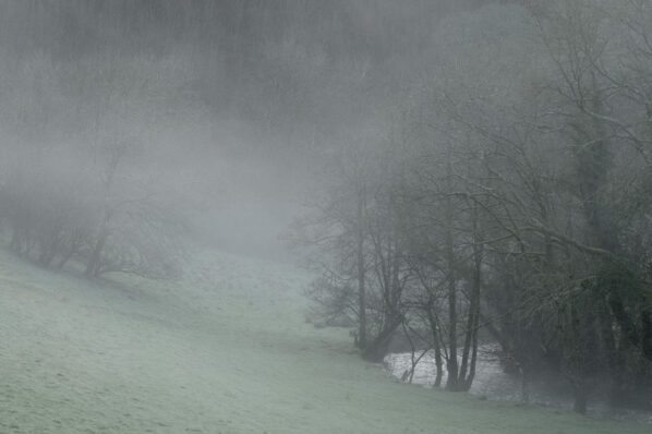 A Misty Valley, North Devon by David Anderson
