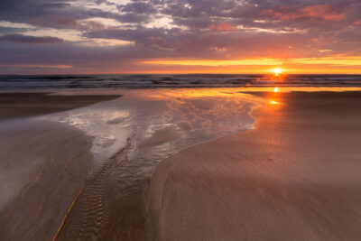 Combesgate Beach at Sunset - Fine art print by David Gibbeson