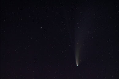 Comet Neowise (C/2020 F3)