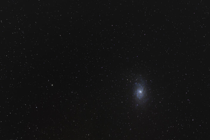 Triangulum Galaxy - M33 by David Gibbeson