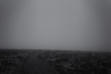 A Lonely Path, Exmoor by David Anderson