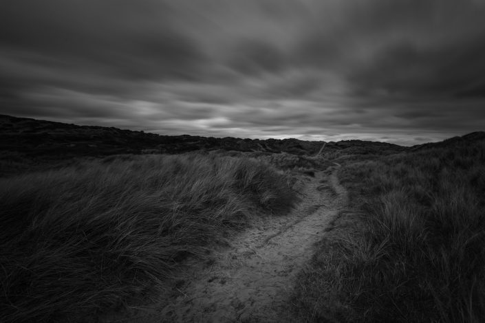 A Path in the Darkness by David Anderson