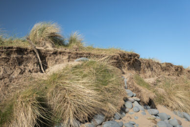 Coastal erosion, Devon by David Anderson