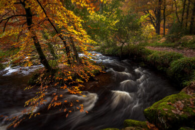 Autumn on the River Teign